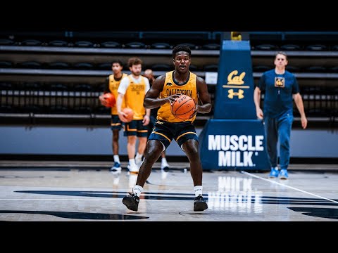 Cal Men’s Basketball: Get To Know Jalen Cone