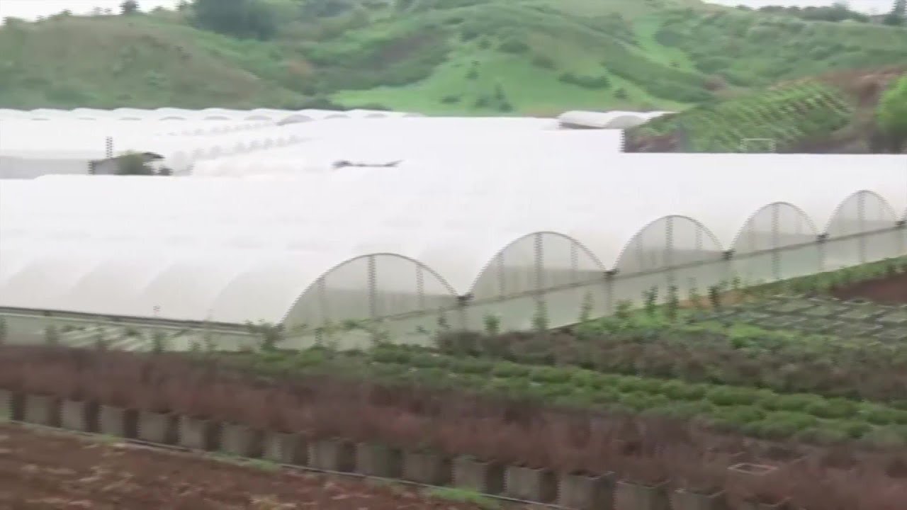 Farmworker Resource Center Project Launches In Santa Barbara County