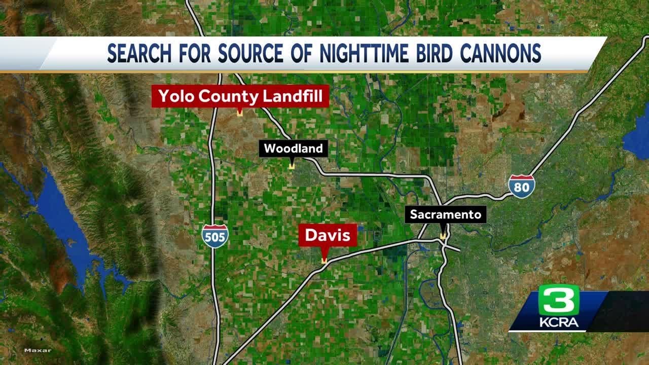 Have You Been Hearing Booming Noises In Davis Lately? Officials Say They’re Actually ‘bird Cannons’