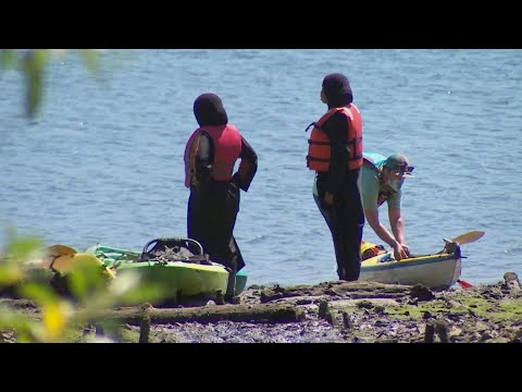 New Paddle Program Offers Unique Way To Explore Seattle’s Duwamish River