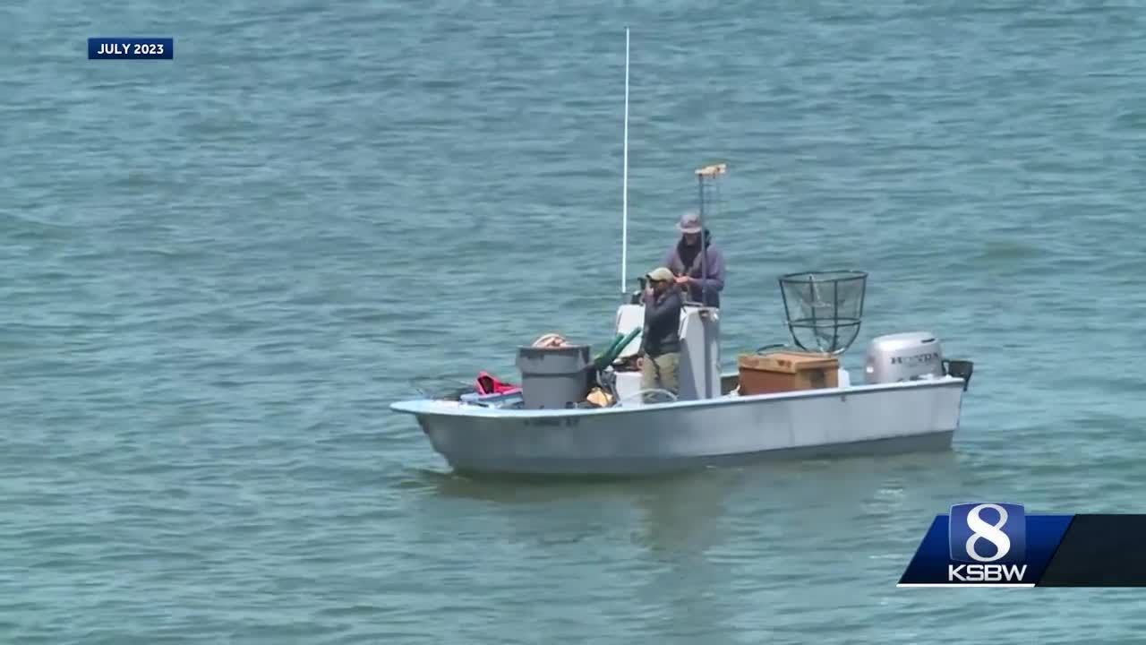 Santa Cruz’s Surfing Sea Otter Still Free After Weeks Of Attempted Capture Missions