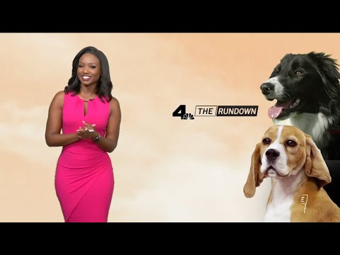 The Rundown: Monday August 7, 2023 | Nbcla