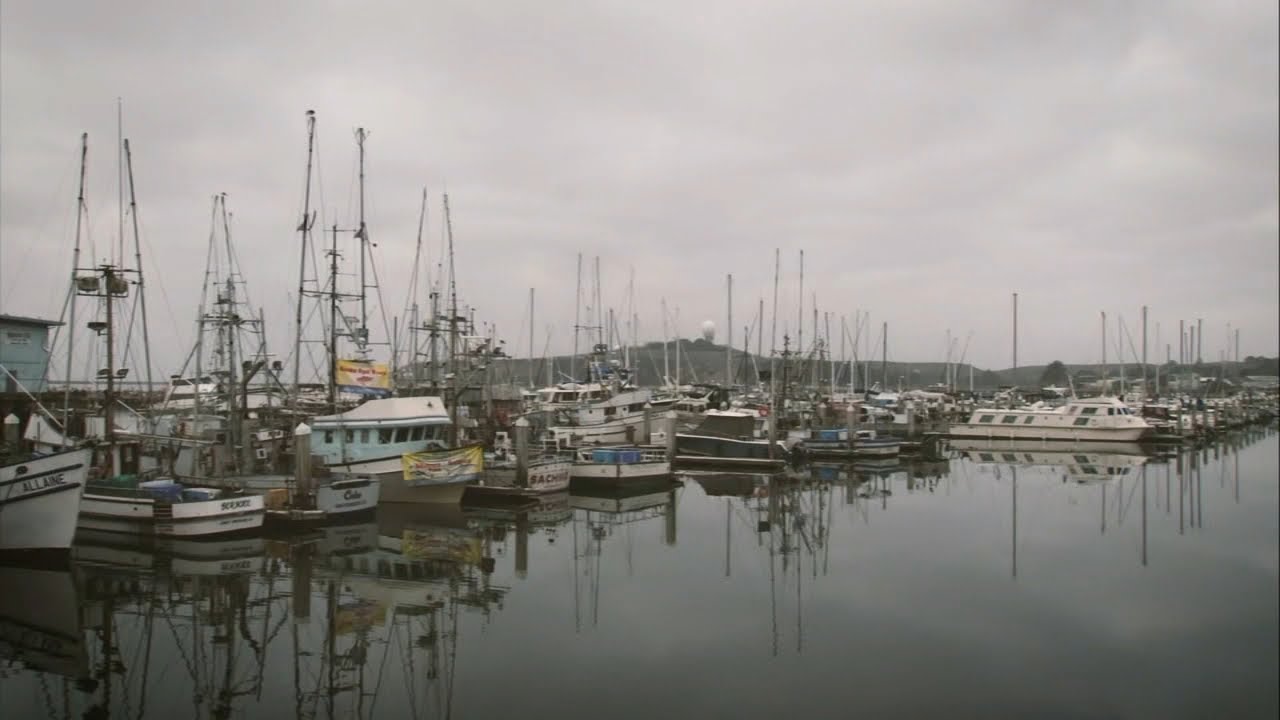 Bay Area Fishermen Reeling From Lost Income Amid Salmon Fishery Closure