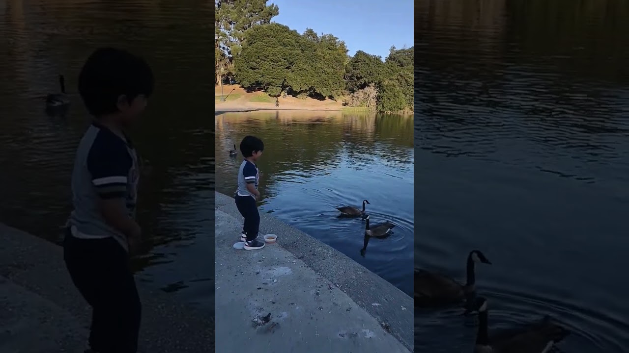 Beautiful Picture 🖼️ Lake Merritt Oakland California Usa 🇺🇸🇺🇸