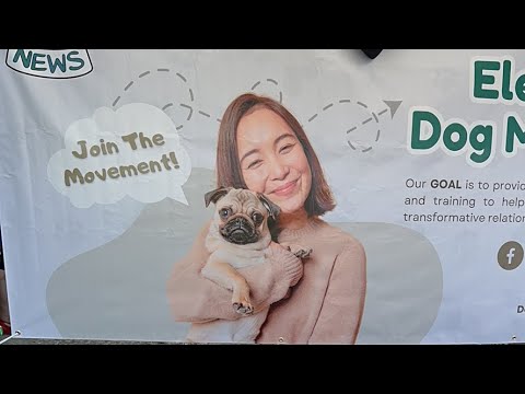 Dog Mom News Is Going Live! Grand Prize Giveaway At Bark In The Park In San Jose, California!