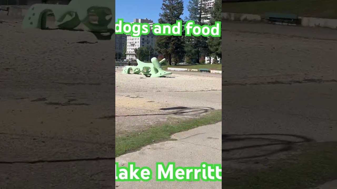 Huskies And Food Plus Walking Around The Lake Merritt Oakland California Best Places To Go Exercise