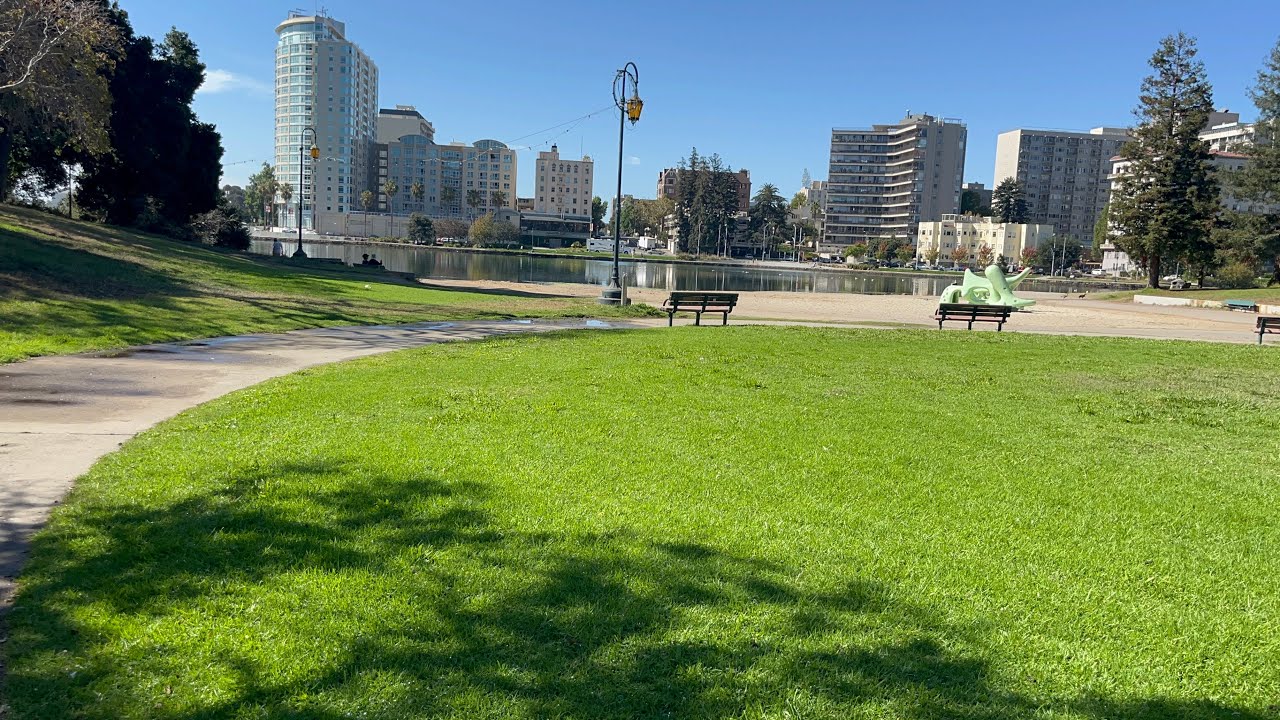 Lake Merritt Daily Walks Around The Lake With Wifey And Puppy 🐶 Husky #husky #husbandwife