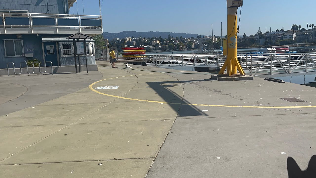 Lake side Walk Around Tour at Lake Merritt Oakland California #lakemerritt #oaklandcalifornia #puppy 1 Lake Side Walk Around Tour At Lake Merritt Oakland California #lakemerritt #oaklandcalifornia #puppy