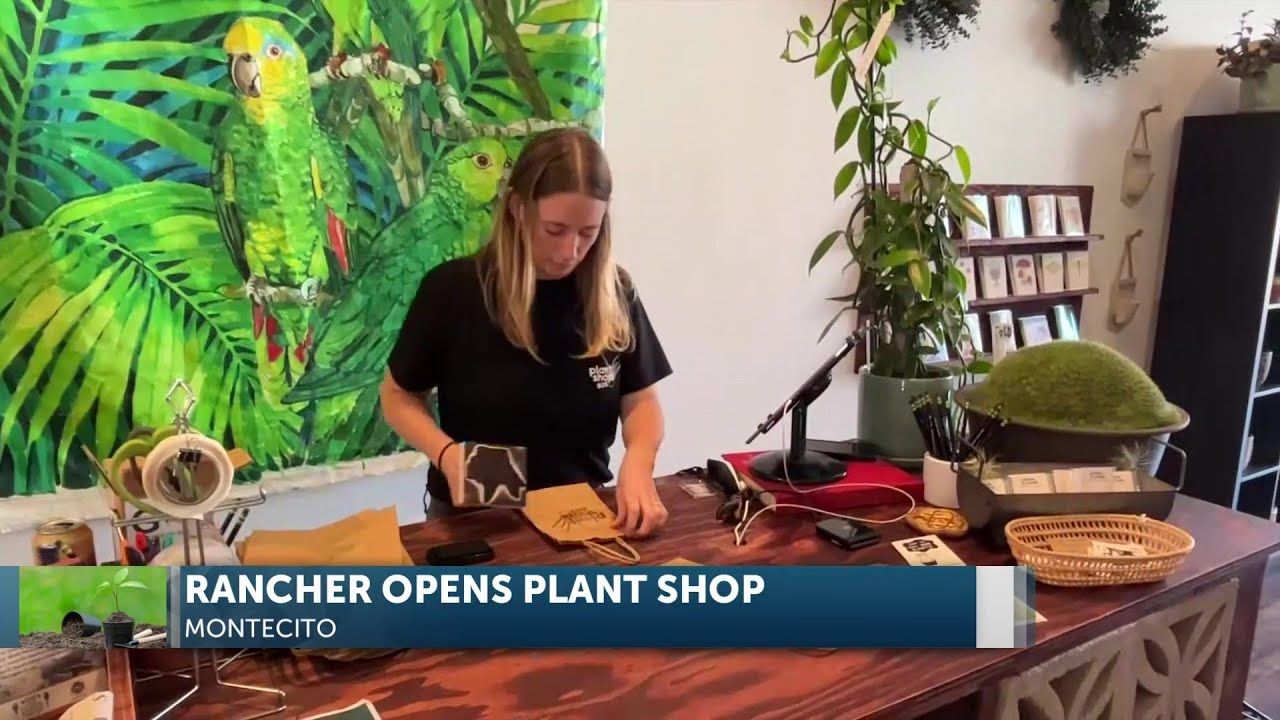 Local Opens Plant Shop 805, Following Destruction Of Thomas Fire