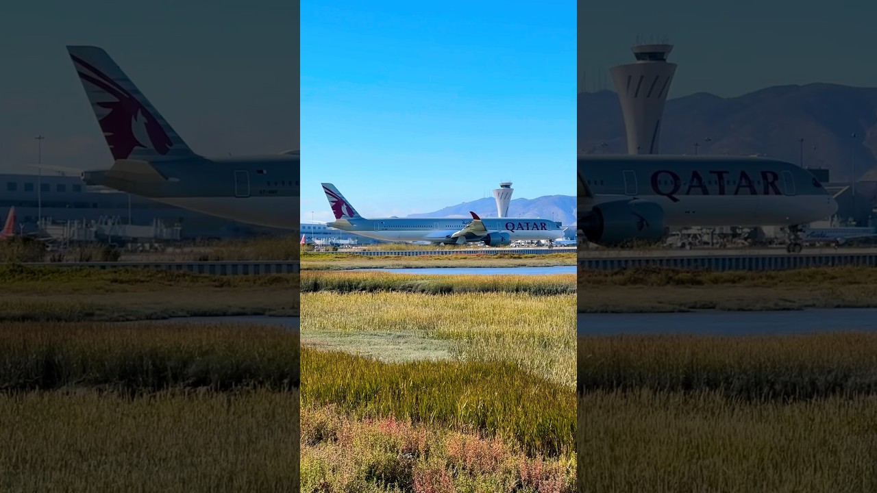 ✈️ Look! A Huge Qatar Airplane At San Francisco Airport! 🌎 #sanfrancisco #sfo #airport