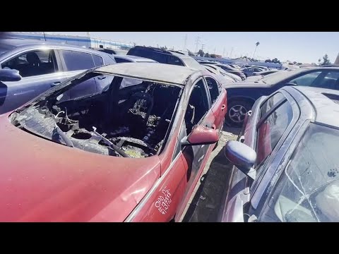 Oakland police report more than 10,000 cars stolen to date in 2023 2 Oakland Police Report More Than 10,000 Cars Stolen To Date In 2023