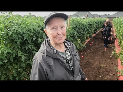 Picking Your Own Fresh Produce At Velvet Acres Gardens In Vancouver