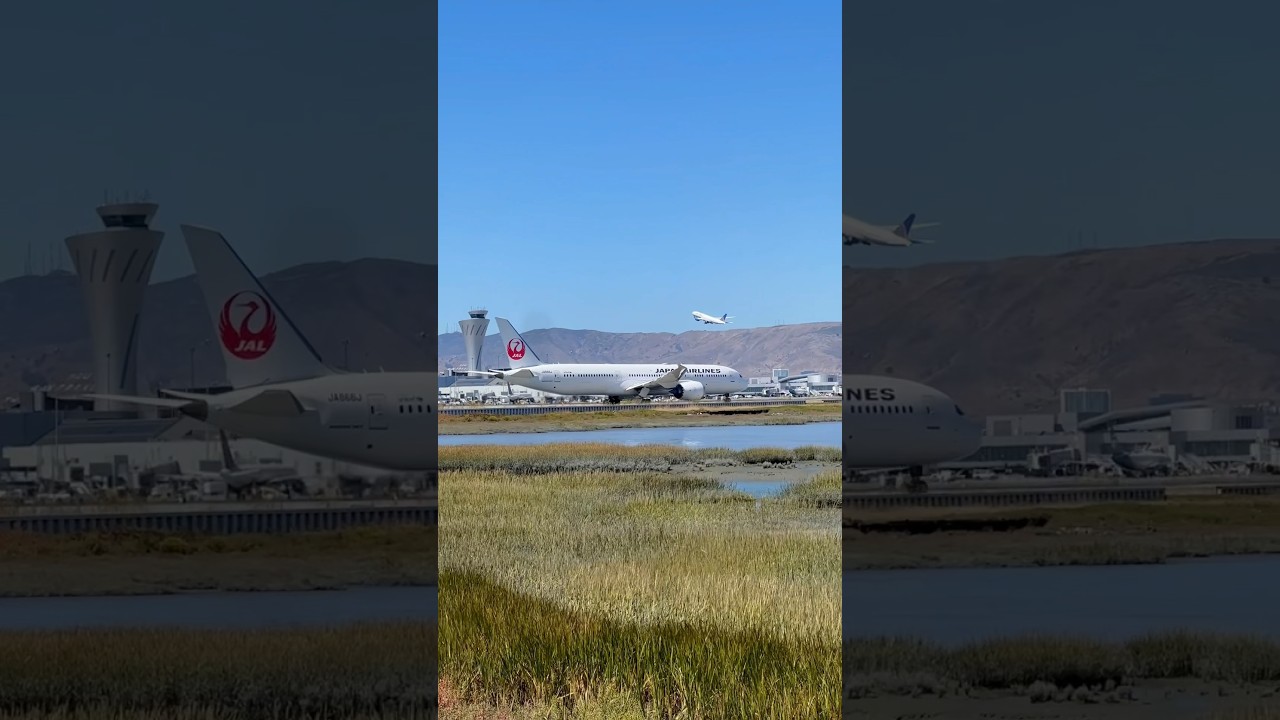 Plane Spotting In Sfo 📍 San Francisco International Airport