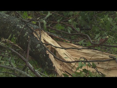 Powerful thunderstorm knocks out power in San Jose 2 Powerful Thunderstorm Knocks Out Power In San Jose