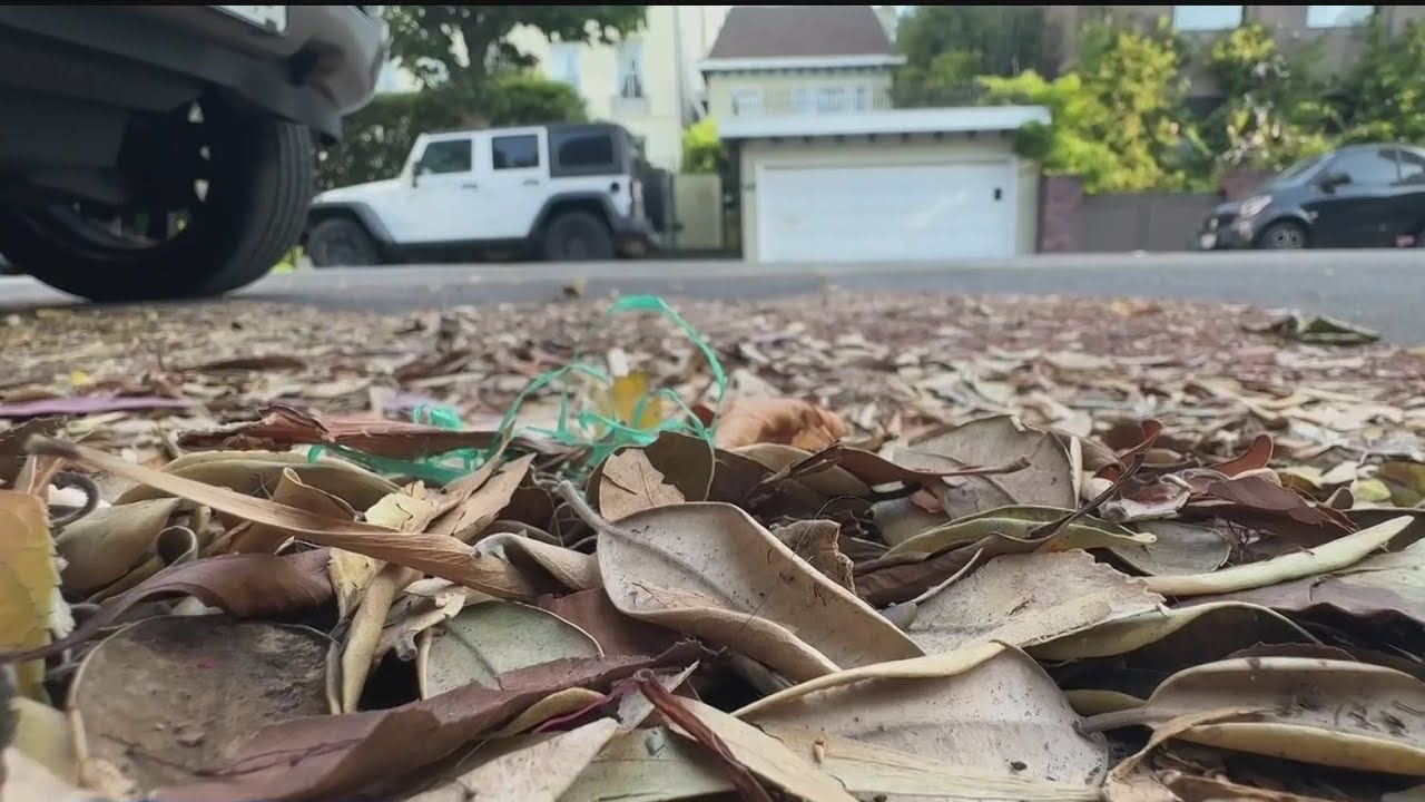 San Francisco Residents In Russian Hill Campaigning To Bring Back Consistent Street Sweeping