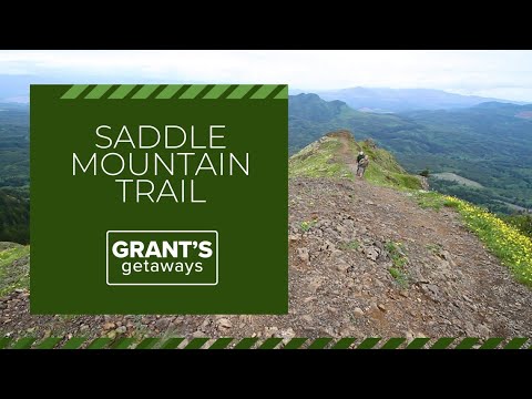Sharing A Love Of The Oregon Outdoors On The Scenic Saddle Mountain Trail | Grant’s Getaways