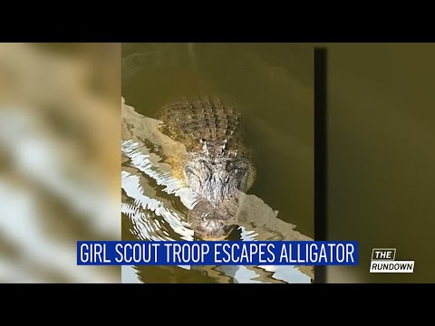 The Rundown 9/14/23: Girl Scout Troop Escapes Alligator | Nbcla