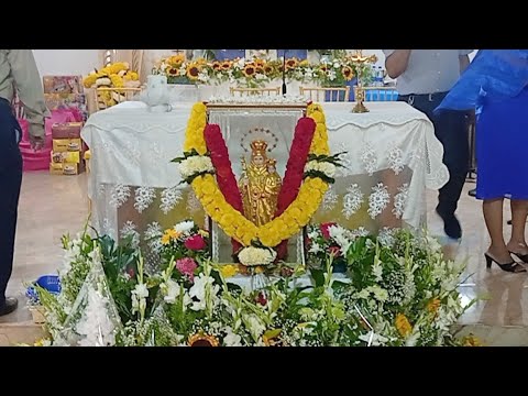 The True Goa News Is Going Live!feast Of Our Lady Of Velankanni 2023@santa Cruz,near Four Pillars