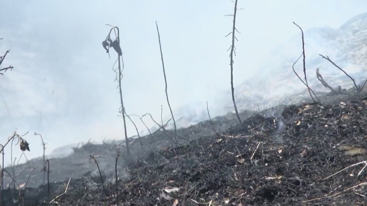 Wildfires Down County, Statewide, As Cal Fire Continues To Preach Caution