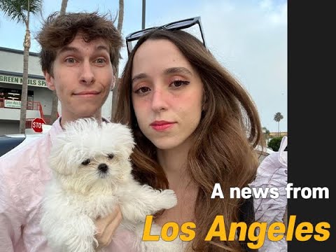 A news from Los Angeles : Our lovely Maltese met new family ☺ 2 A News From Los Angeles : Our Lovely Maltese Met New Family ☺