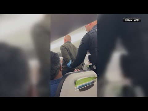 Alaska Airlines Pilot Who Tried To Cut Plane’s Engines Appears On Federal Charges