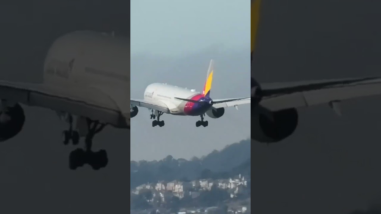 Asiana Airlines Landing At Sfo #aviation #shortsvideo #shortsfeed #shorts #fyp #airbus #airport #fy