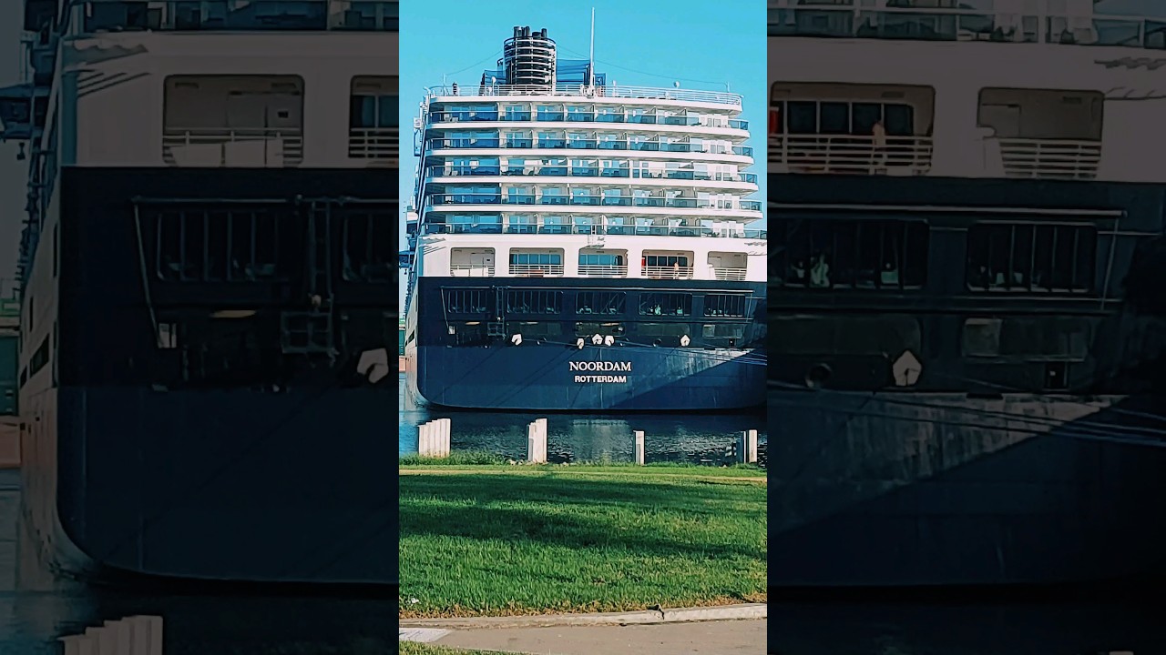 Big Cruise Ship 🚢 😱 #cruise #cruiseship #bigship #losangeles #shorts