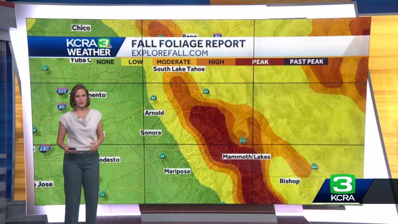 California Fall Foliage Report: Oct. 6, 2023