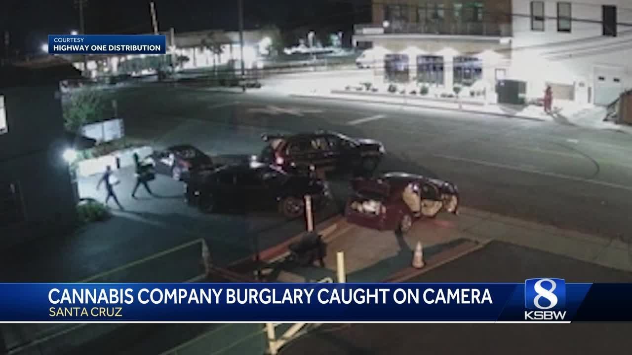 Cannabis Company Burglary Caught On Camera In Santa Cruz