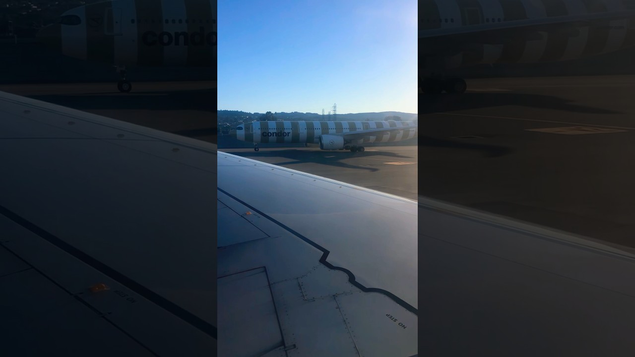 Condor In San Francisco International Airport
