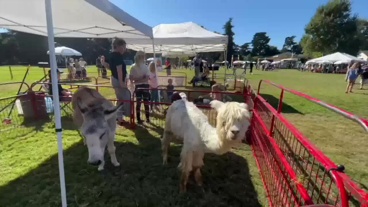 Crane Country Day Hosts Crane Country Fair