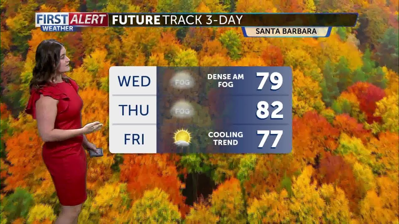 Dense Fog Gives Way To Sunny & Bright Skies Wednesday