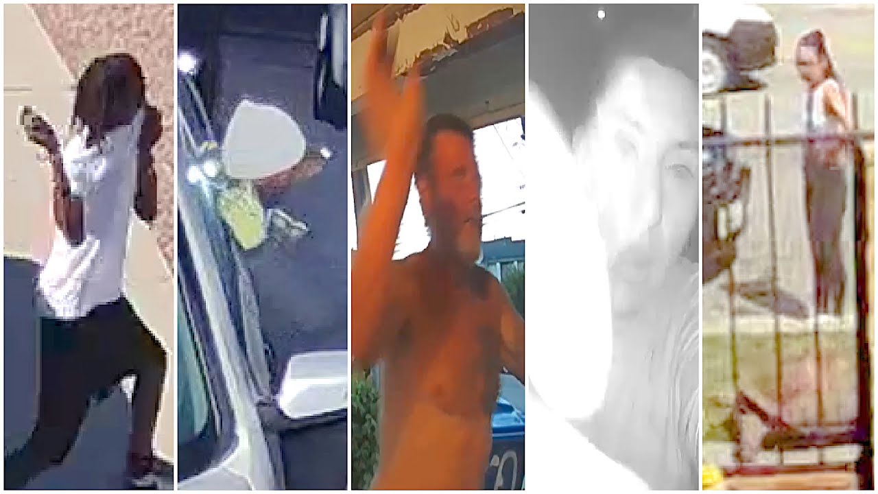 Doorbell Videos | Los Angeles, Ca | Week 41 | 2023 | Doorbell News