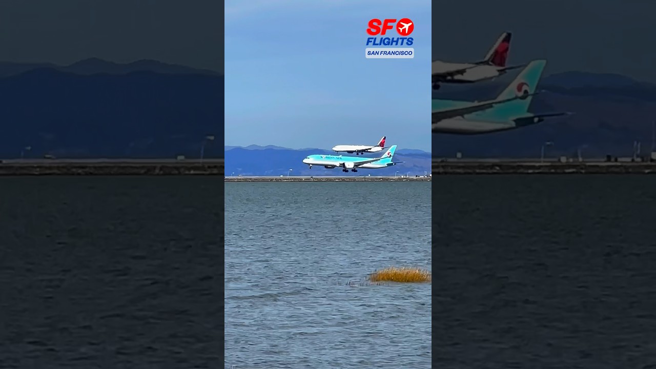 Double landing in SFO 🛬 San Francisco Airport 🇰🇷 Korean Air 🇺🇸 Delta 2 Double Landing In Sfo 🛬 San Francisco Airport 🇰🇷 Korean Air 🇺🇸 Delta