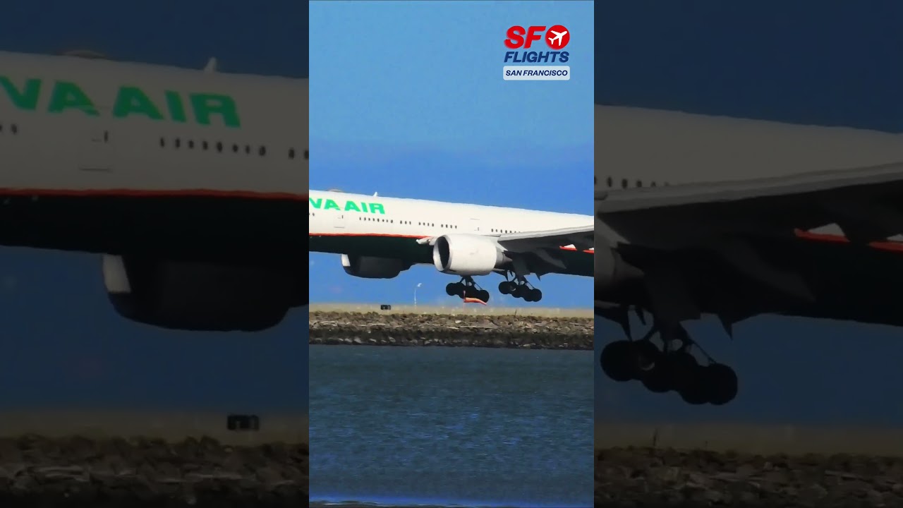 Eva Air Landing At The San Francisco Airport 🛬 #sfo #aviation #sanfrancisco