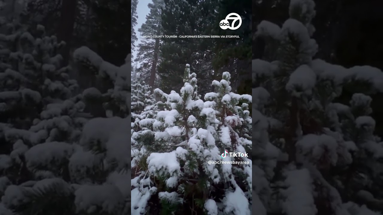 First Snow Of Season Arrives In Sierra Nevada