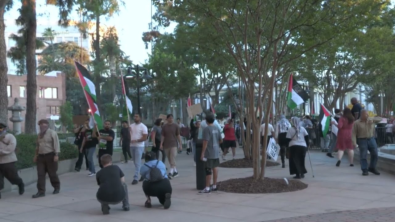 Free Palestine Protest Downtown Riverside