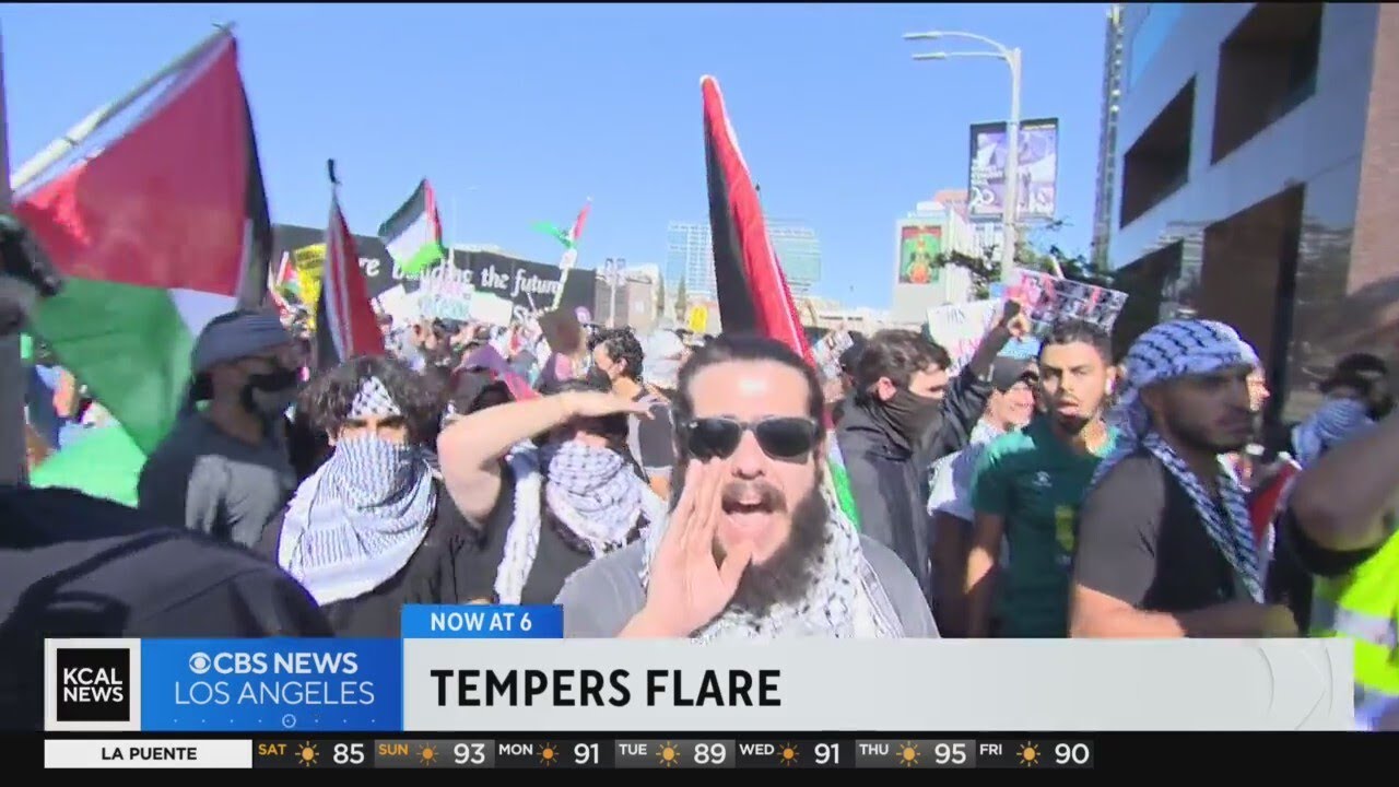 Lapd Monitoring Palestinian Rights Demonstration In West La