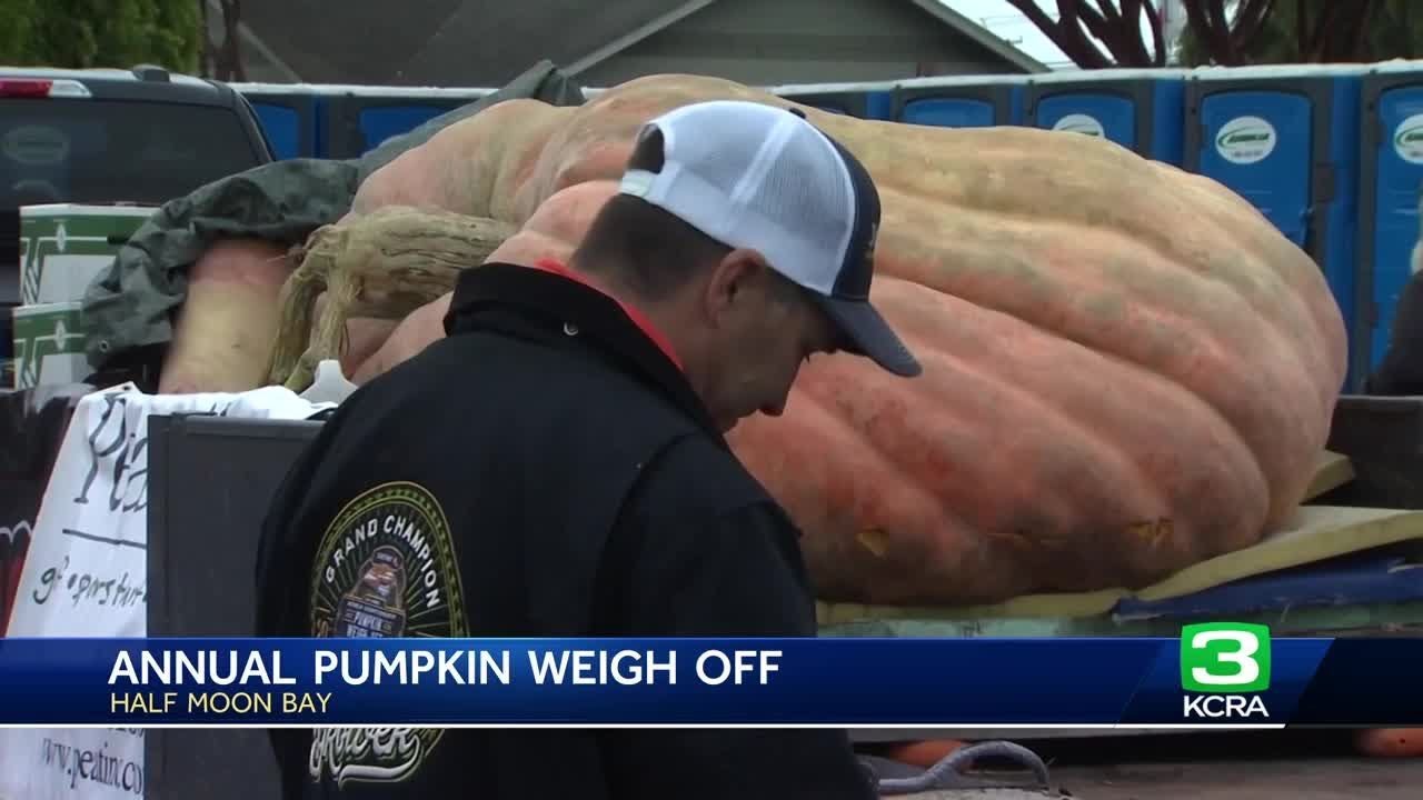 Massive Pumpkin Sets World Record At Half Moon Bay Weigh Off