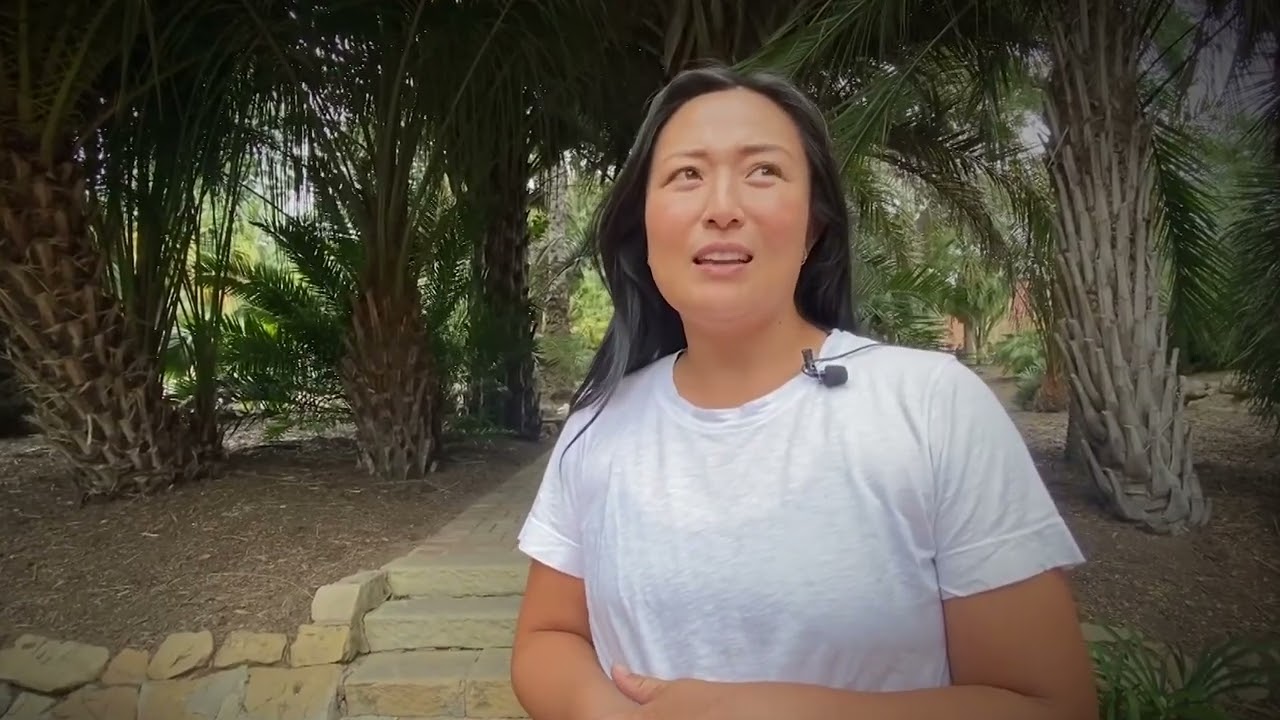Patricia Martellotti Takes You Behind Lotus Land’s Upcoming Renovations Thursday At 6pm