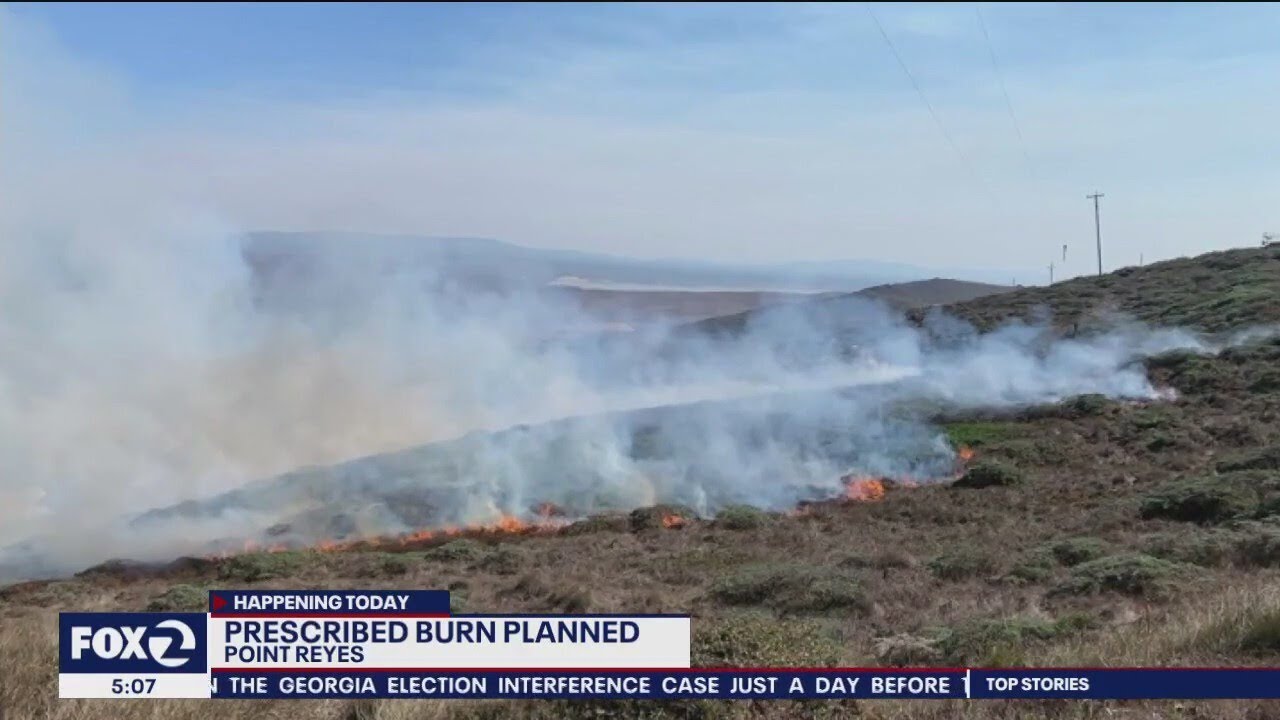 Prescribed Burn Planned For Point Reyes National Seashore