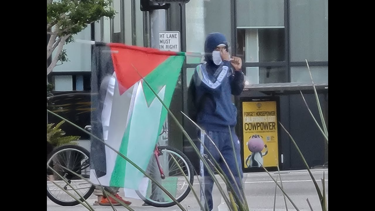 Pro Palestine Protestors West Los Angeles Ca #news #breakingnews #live