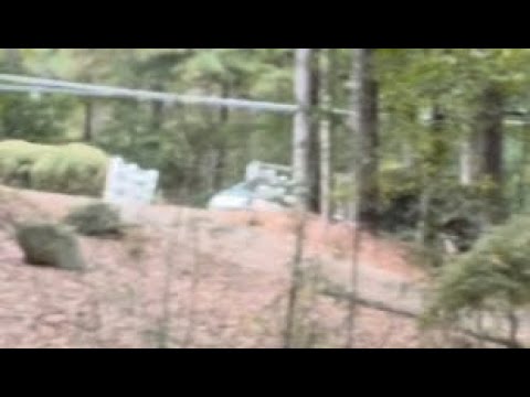 Reporting John Lyft Driver In Chevrolet Traverse Fayetteville Georgia Not Picking Up Customer’s Ride