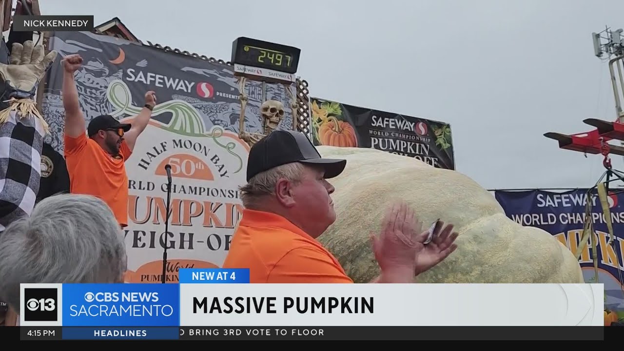 Sacramento Area Growers Break State Record With Massive Pumpkin