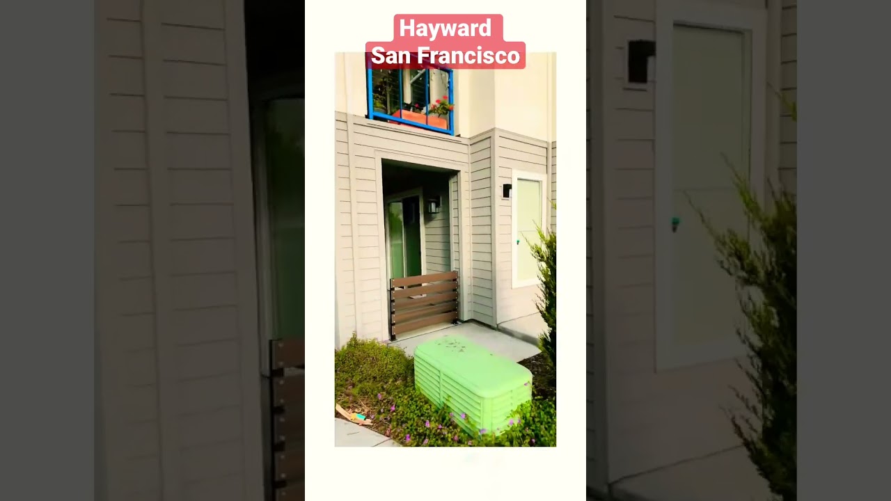 San Francisco California #shortvideo #travel #california #nature #usa #america #beautiful #beach