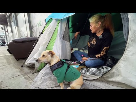 San Francisco To Change How Homeless Encampments Are Managed