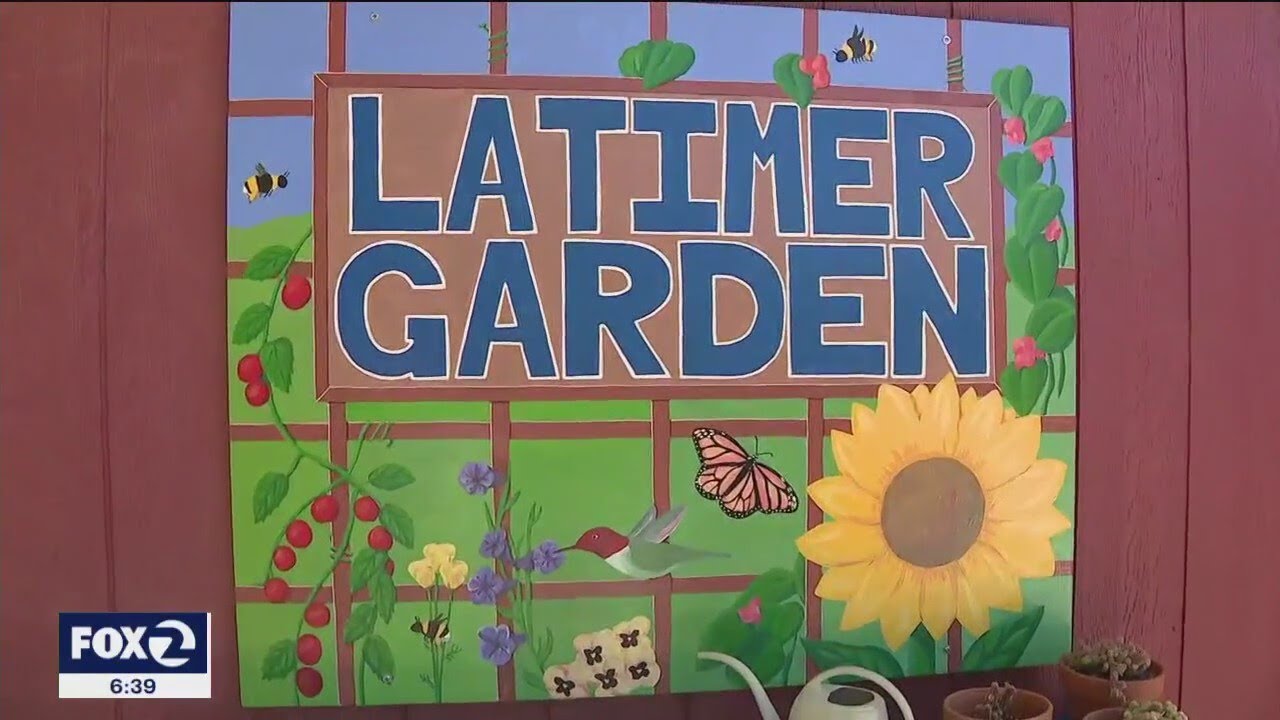 San Jose School’s Garden Provides Stress Free Environment For Students