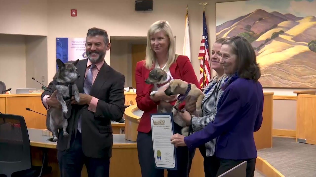 Santa Barbara County Proclaims ‘adopt A Shelter Dog Month’ To Help Boost Adoptions From Local …