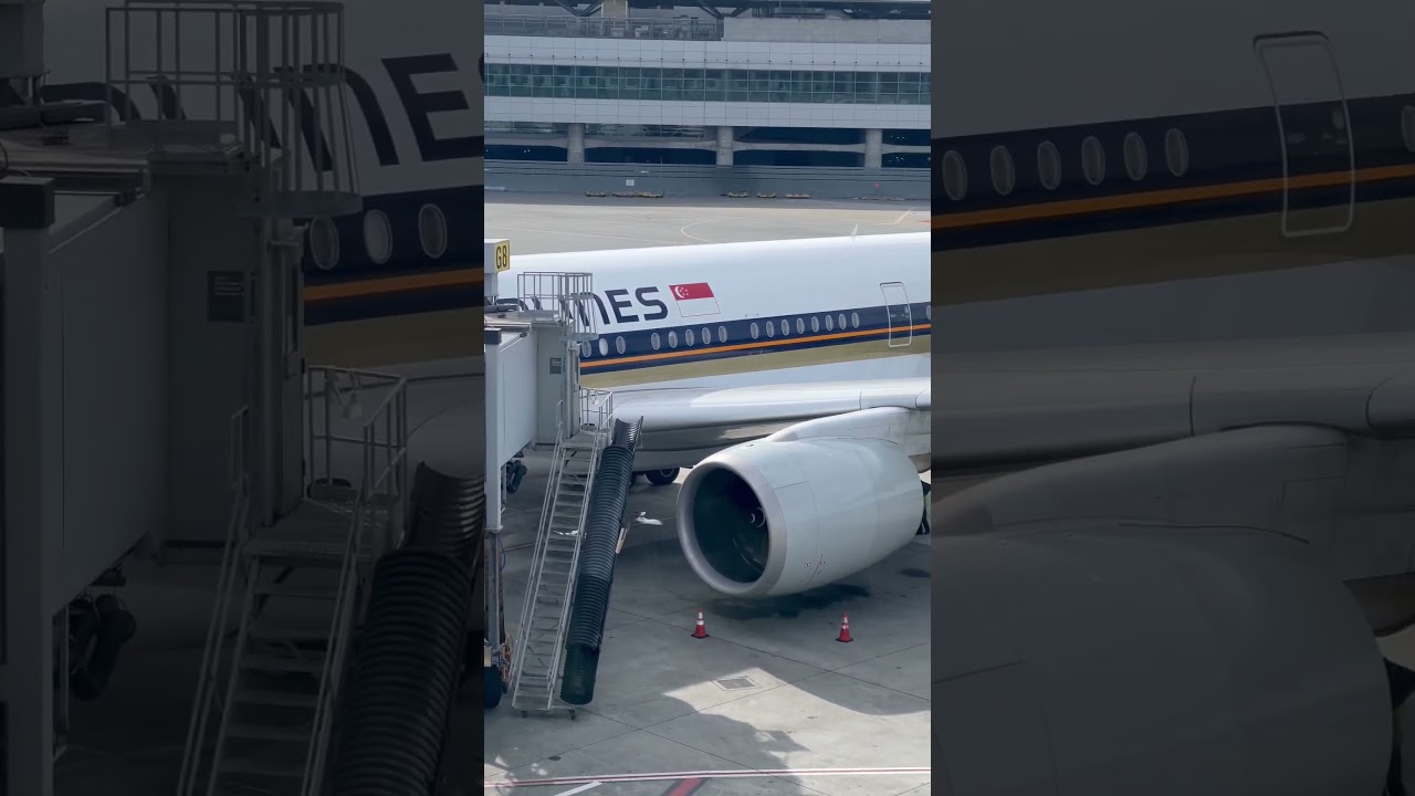 Singapore Airlines Airbus A350 San Francisco Airport G Gates Terrace 2 Singapore Airlines Airbus A350 San Francisco Airport G Gates Terrace