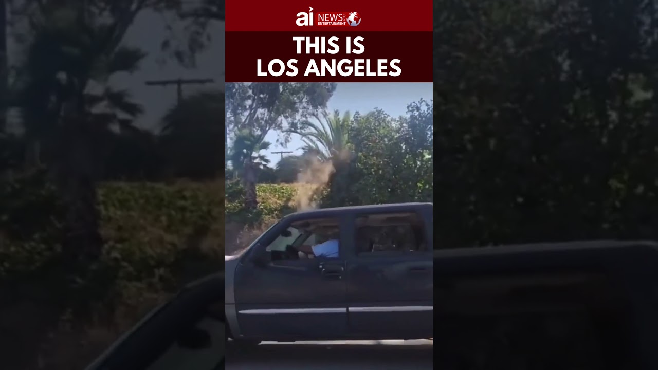 This Is Los Angeles